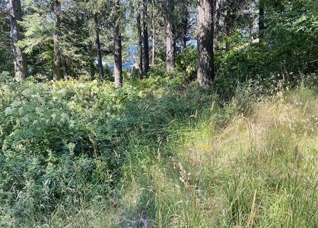 Property at 4619 Terrace Rd, Loon Lake, WA 99148