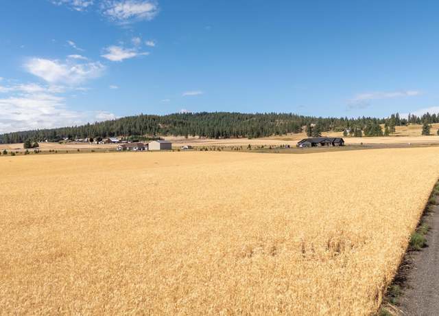 Property at 246XX N Spotted Rd, Deer Park, WA 99006