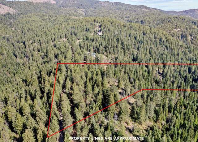 Property at 12703 S Alpine Fern Ln, Rockford, WA 99030