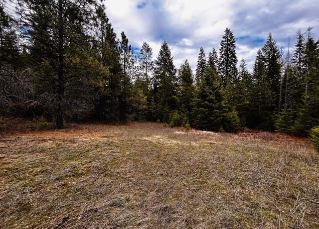 Property at 1776 Horseshoe Lake Rd, Deer Park, WA 99006