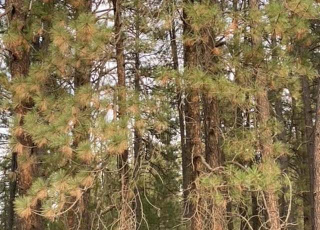 Property at XXXX Reservation Rd, Ford, WA 99013