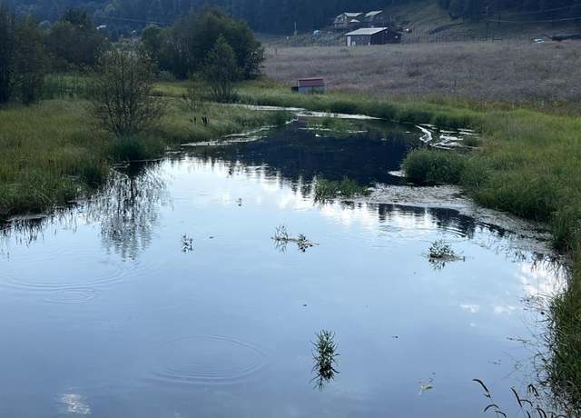 Property at 101 Pines Rd, Newport, WA 99156
