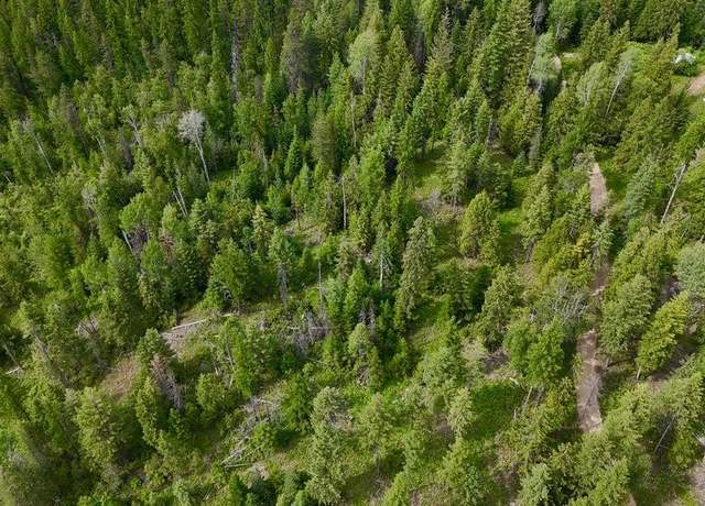 Property at XXXX Cedar Creek Rd, Colville, WA 99114-0000