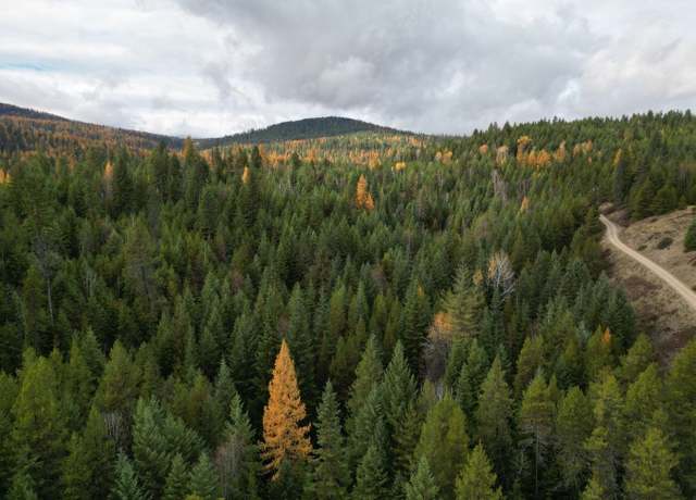Property at TBD Schlegel Ranch Rd, Ione, WA 99139-0000