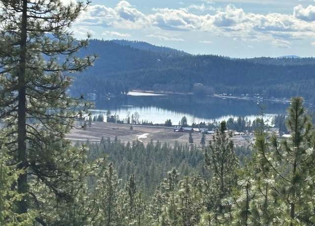Property at 4XXX Ali Vista Way, Loon Lake, WA 99148