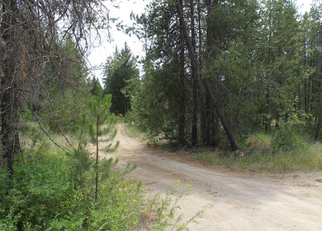 Property at 93 Buck Creek Rd, Newport, WA 99156