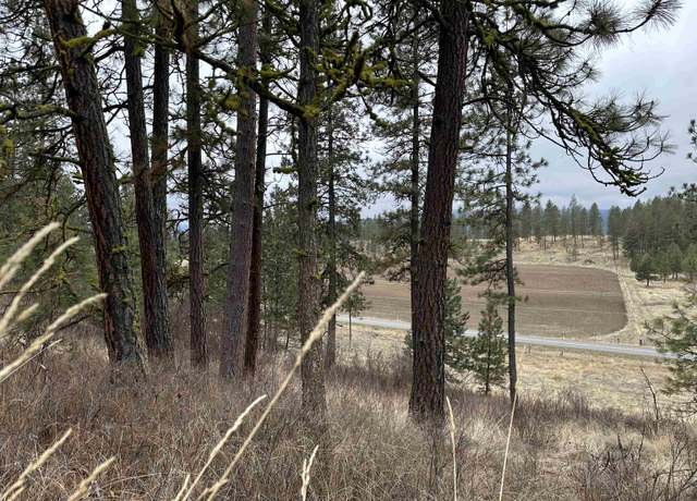 Property at 3312X Daisy Mine Rd, Rice, WA 99167