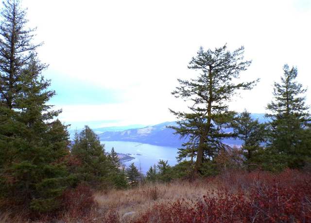 Property at #N Morning Star Ln, Inchelium, WA 99138