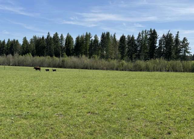 Property at 29210 N Spotted Rd Unit Parcel D, Deer Park, WA 99006