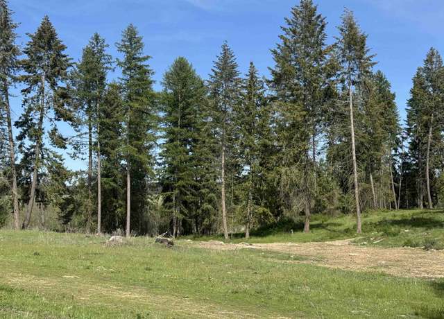Property at 29210 N Spotted Rd Unit Parcel F, Deer Park, WA 99006