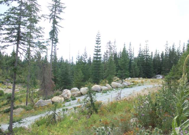 Property at 10xx Buck Creek Rd, Newport, WA 99156