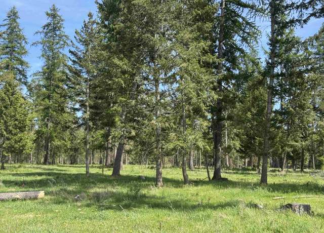 Property at 29210 N Spotted Rd Unit Parcel H, Deer Park, WA 99006