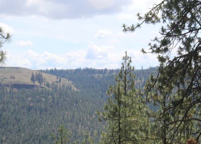 Property at Pine Forest 3 Sontag Ridge Ln, Davenport, WA 99122