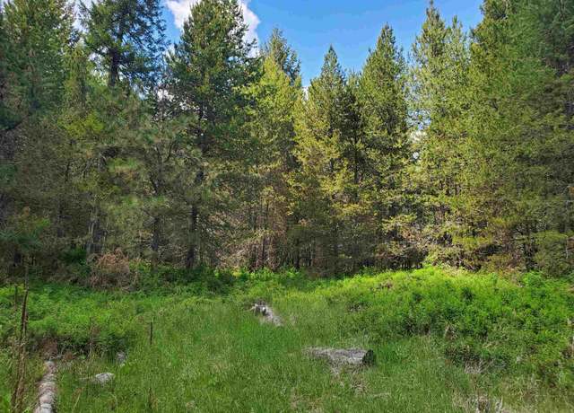 Property at 000 N Nicole Ln, Elk, WA 99009