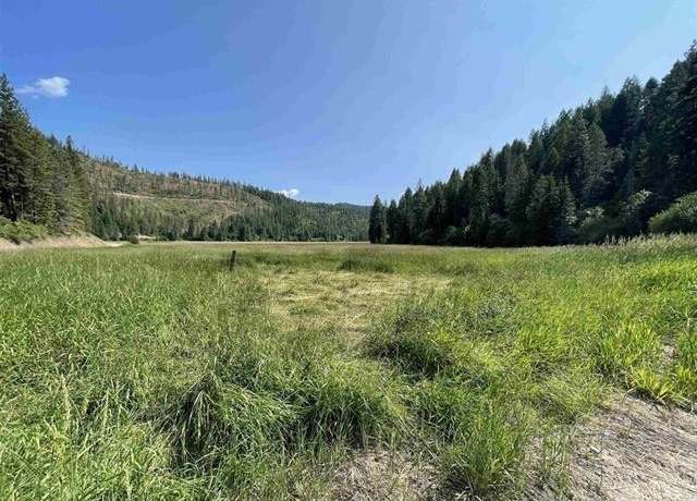 Property at 41XX North Deer Lake Rd, Loon Lake, WA 99148