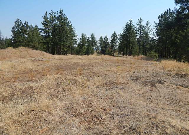 Property at 249014 W Kitt Rd, Reardan, WA 99029