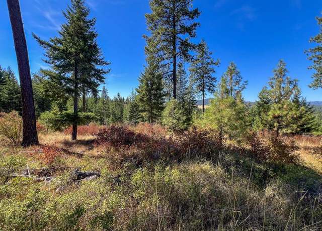 Property at 52XX Lot 7 Swenson Rd, Deer Park, WA 99006