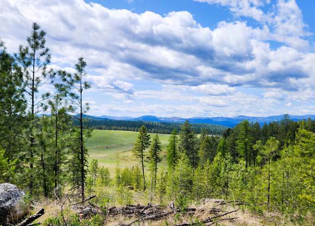Property at 3669 E Jump Off Joe Rd, Valley, WA 99139