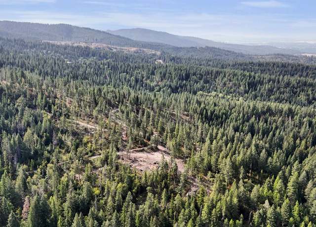 Property at XX E Deer Creek Rd, Chattaroy, WA 99003
