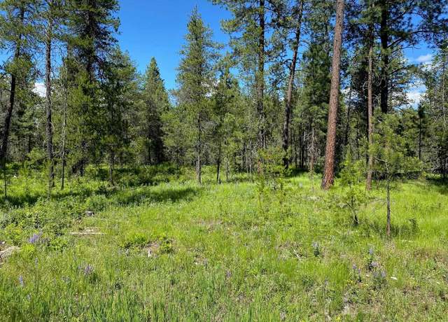 Property at 2400 W Montgomery Rd Lot B, Deer Park, WA 99006