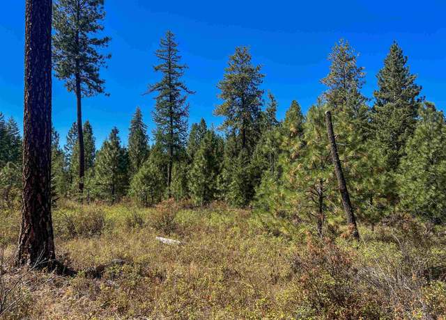 Property at 52XX Lot 2 Swenson Rd, Deer Park, WA 99006