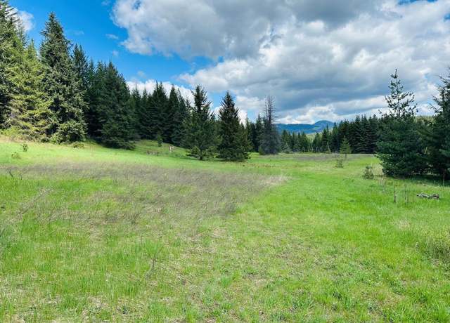 Property at 3841 Deep Lake Boundary Rd, Colville, WA 99114