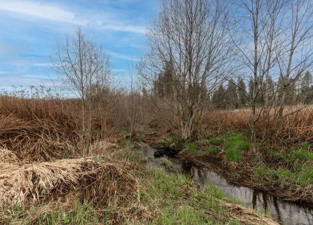 Property at 343XX N Spotted Rd, Deer Park, WA 99006