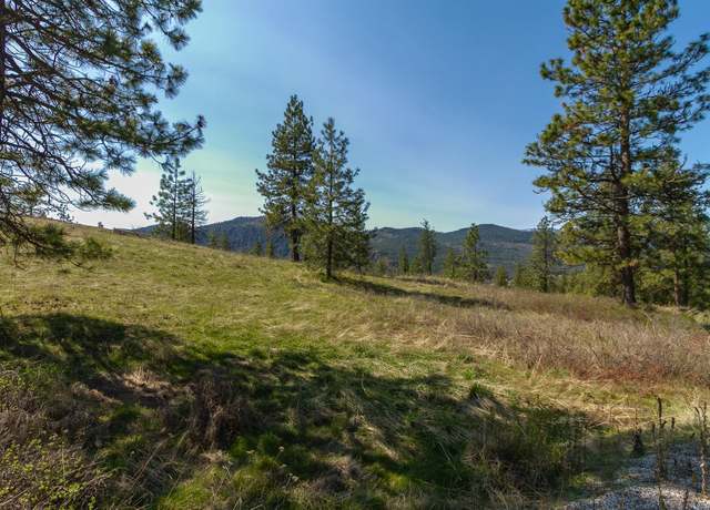 Property at 1622 Palmer Loop, Chewelah, WA 99109