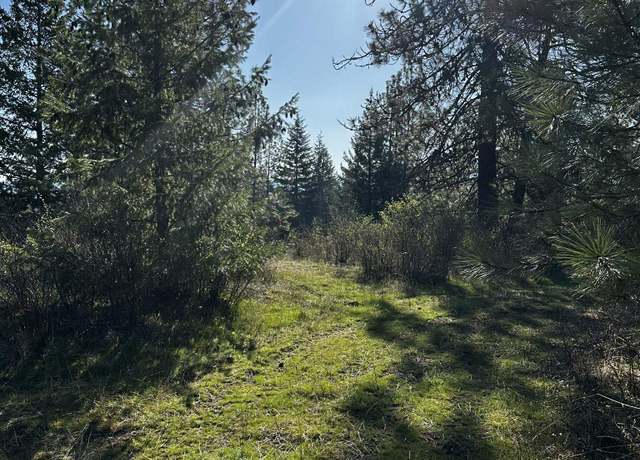 Property at TBD Waldrons Ln, Chattaroy, WA 99009