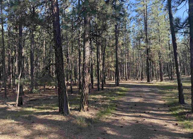 Property at 25XXX W Long Lake Rd, Spokane, WA 99013