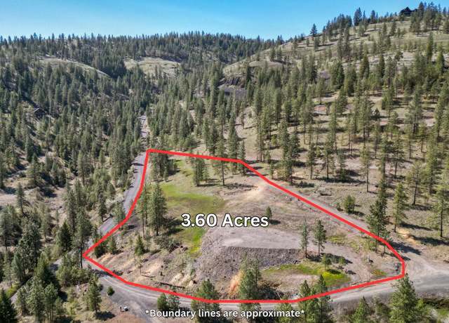 Property at 31640 Ringneck Ln E Lot 3, Davenport, WA 99122