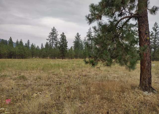 Property at 7534 Kimberly Dr. Way, Ford, WA 99013