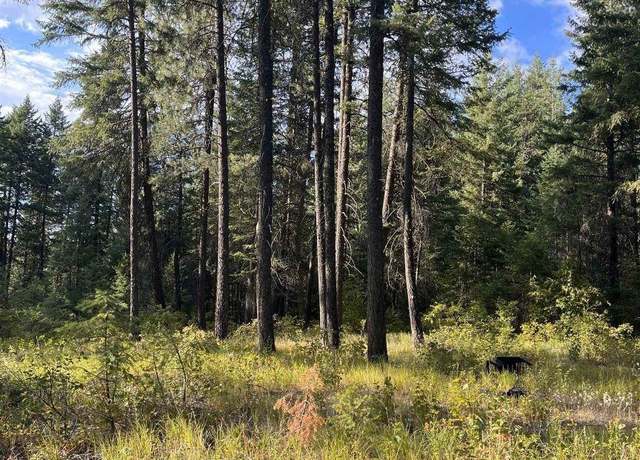 Property at 42XX Bussard Lake Rd, Loon Lake, WA 99148