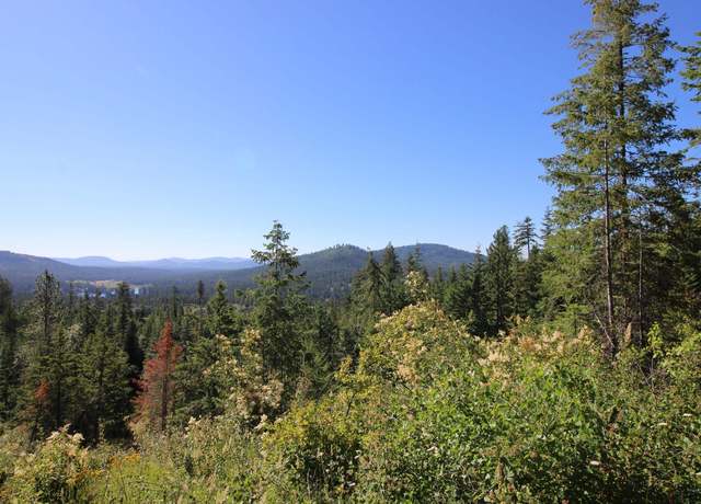 Property at NKA Buck Creek Rd, Newport, WA 99156
