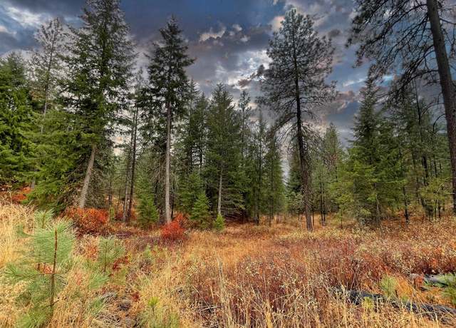 Property at 5xxx Hwy 231 Hwy, Ford, WA 99013