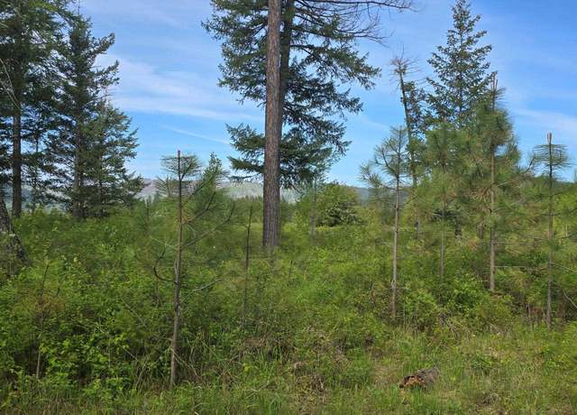 Property at 4571 B Williams Valley Rd, Clayton, WA 99110