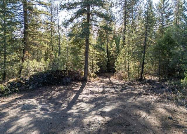 Property at 22 Elk Rd, Newport, WA 99156