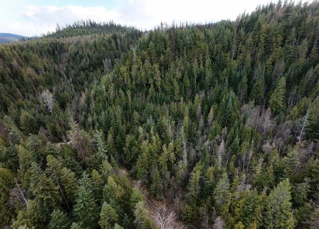 Property at 7301 Wa-31 Hwy, Ione, WA 99139