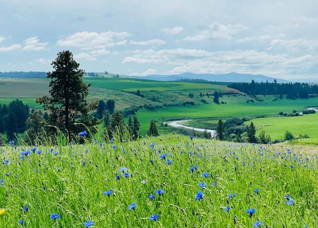 Property at 11900 Hays Rd Lot A - Parcel 9030, Spangle, WA 99031
