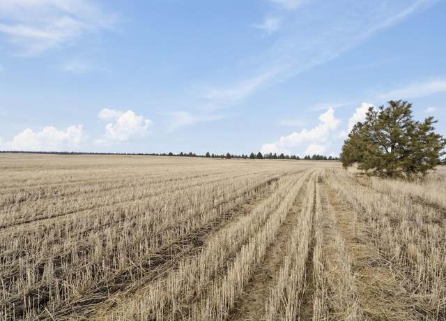 Property at 5xx S Rambo Rd, Medical Lake, WA 99022