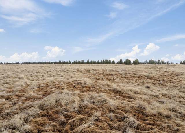Property at 52x S Rambo Rd, Medical Lake, WA 99022
