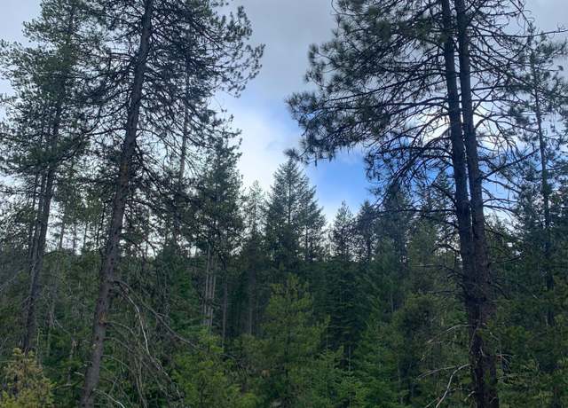 Property at 27XX Clark Lake Rd, Addy, WA 99101