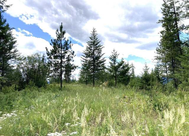 Property at #U Buffy Ln, Inchelium, WA 99138