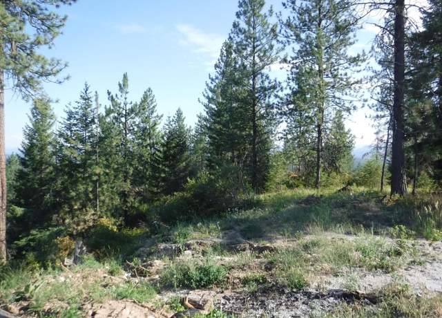 Property at Lot 5 Moose Ridge Way, Loon Lake, WA 99148