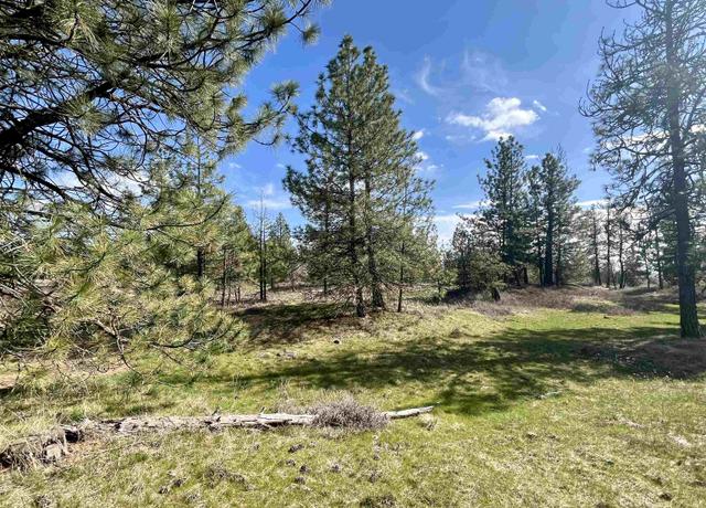 Property at 249015 W Kitt Rd, Reardan, WA 99029