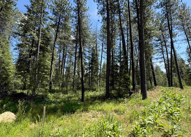 Property at 600 N A St Lot 3, Springdale, WA 99173