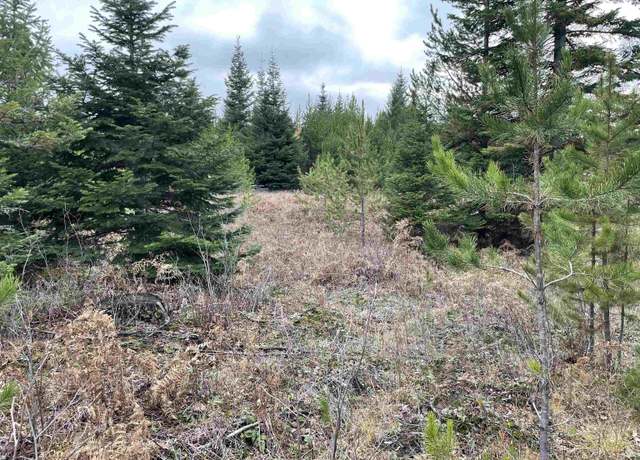 Property at Lot 4, C Evergreen Rd, Ione, WA 99139