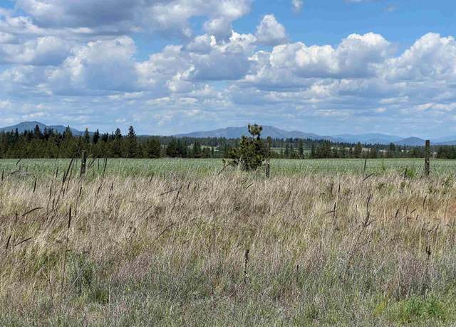 Property at XXX N Wood Rd, Reardan, WA 99029