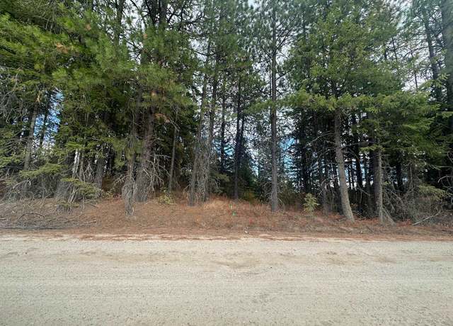 Property at 4450 Buck Creek Rd, Loon Lake, WA 99148