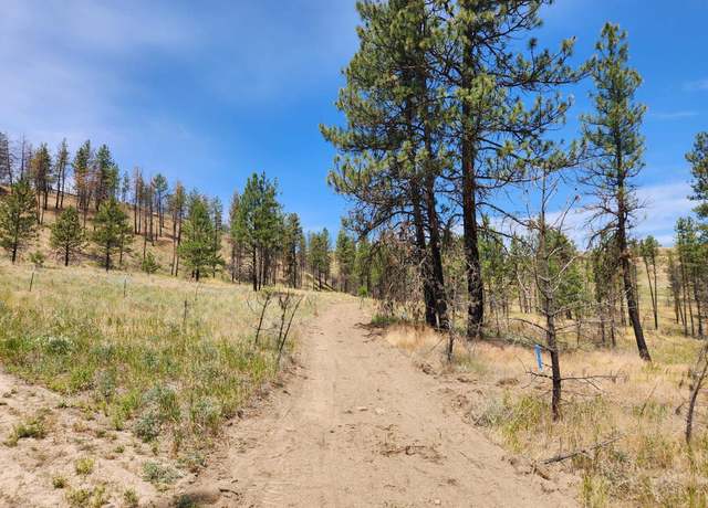 Property at 31XYZ Hawk Creek Ranch Rd, Davenport, WA 99122